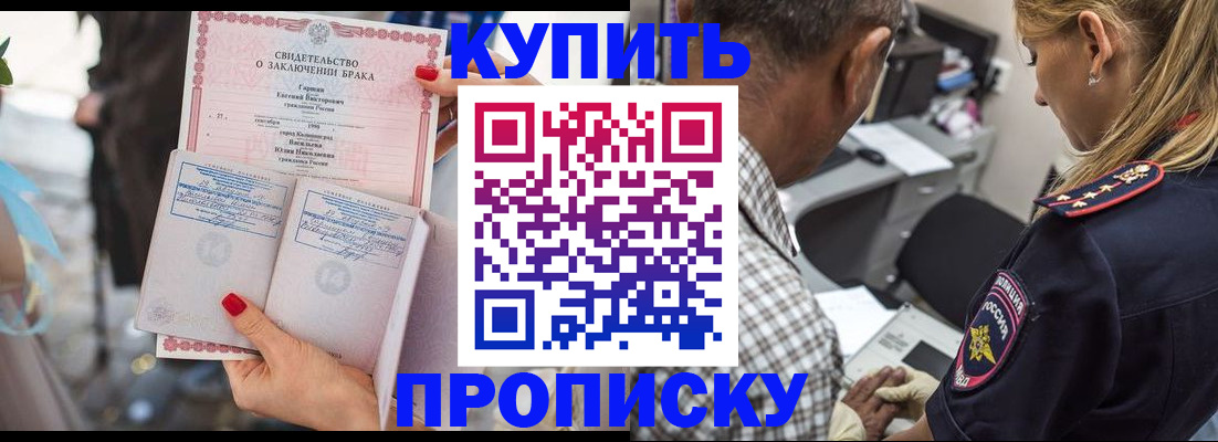 прописка законно в Городце